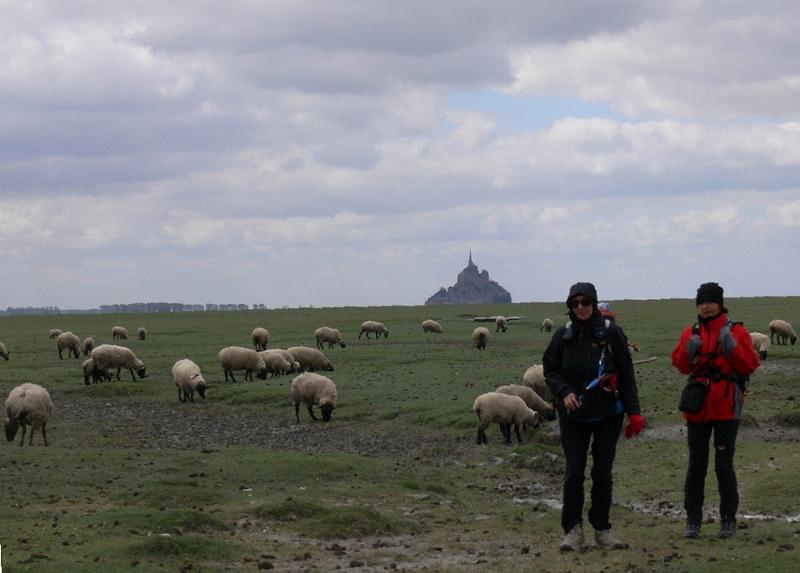 Mont Saint Michel 2010 - 406.jpg